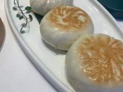-千灯盛汇·头牌粤菜(致越优城店)