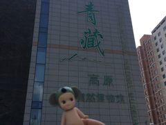 -青藏高原自然博物馆
