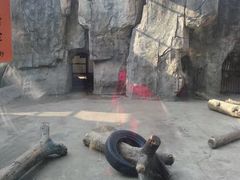 android_upload_pic-南昌动物园