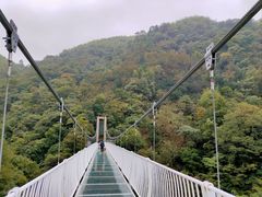 -藏龙百瀑风景区