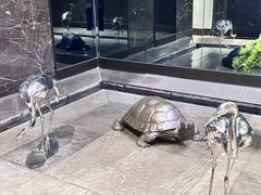 -金汇酒楼(中山东区店)