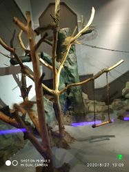 -未来动物城动物主题公园(大悦城店)