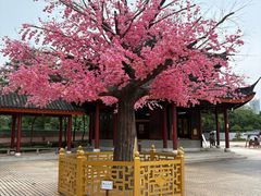 -广东圆玄道观