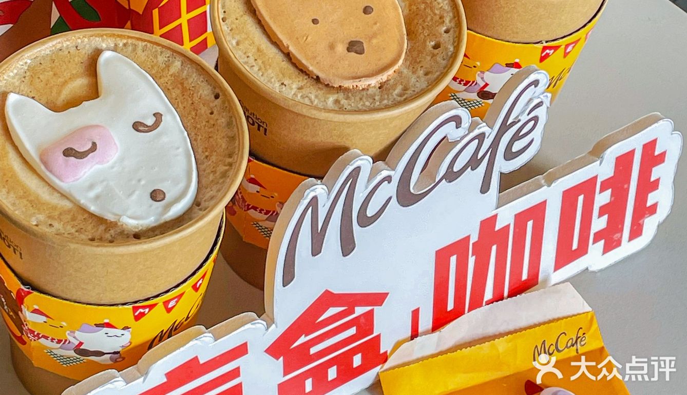 🧸成都的冬天｜萌宠蛋白霜竟然如此可爱 