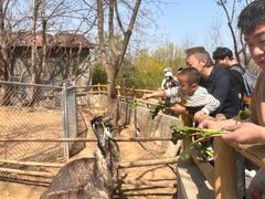 -石家庄市动物园