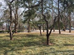 -玲珑塔公园