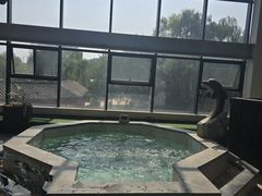 -太白山御龙湾温泉