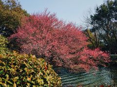 -中国茶叶博物馆(双峰馆区)