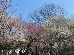 -杭州植物园