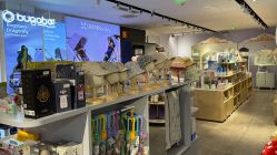 -国际蓝孩(将台路店)