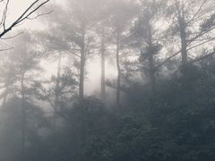 景点-梦幻奥陶纪景区