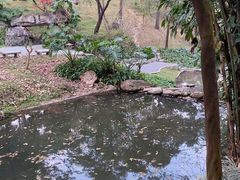 -广州市白云山风景名胜区