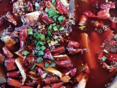 -青城甲(青城山店)