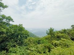 -兔爸私家小厨(新北万达店)