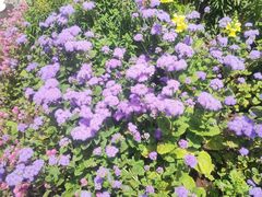 -长春市南湖公园