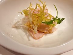 -蝶舍·MAISON PAPILLON