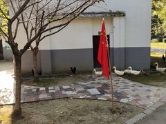 -华西村