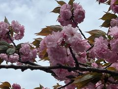 -苏州独墅湖世尊酒店