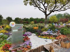-东平国家森林公园
