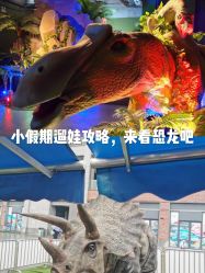 -恐龙探索乐园(磁器口店)
