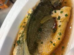 -上海阿潘舟山海鲜店(东宝兴路店)