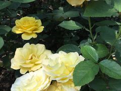 -苏州河梦清园环保主题公园