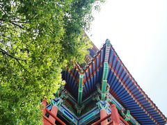 -阅江楼风景区