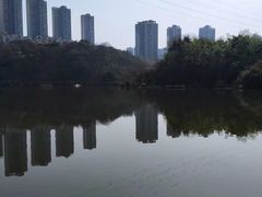 -重庆彩云湖湿地公园