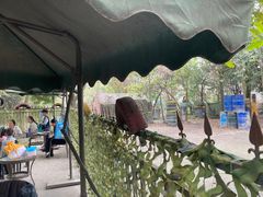 -勇士之星真人CS·团建·拓展(清水河公园店)