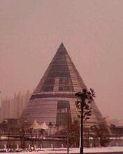 -上海市第一人民医院(松江南部)