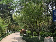 -杭州半山国家森林公园