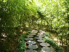-雪山彩虹谷景区