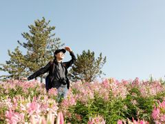 -狼牙山风景区