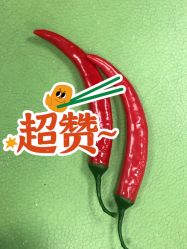 -莫莉幻想儿童乐园(武汉保利广场店)