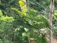 -虹之森·小馆