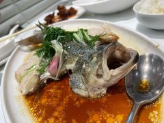 至潮油浸飞鲈-至潮餐厅精致粤菜·活鲈鱼·走地鸡(珠江新城店)
