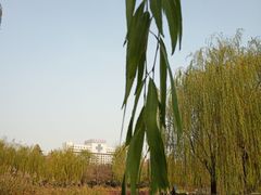 -丰台科技园生态主题公园