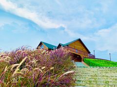 -露天矿生态公园