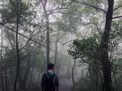 -紫金山山顶公园