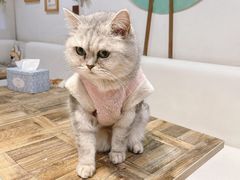 -小时光咖啡馆(北锣鼓巷店)