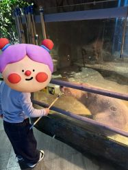 -未来动物城主题公园(正弘城店)