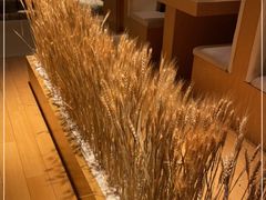 -西村日本料理(香格里拉饭店)