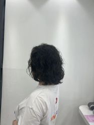 -镁连社·美联社