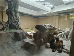 -宁波野生动物园