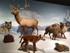 -陕西自然博物馆