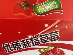 -小鱼草莓采摘园农家乐·小鱼餐厅