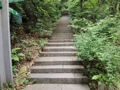 -杭州半山国家森林公园