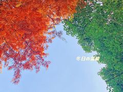 -尚贤河湿地