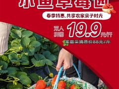 -小鱼草莓采摘园农家乐·小鱼餐厅