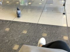 -谢列梅捷沃国际机场